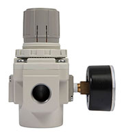 1/2 Inch (in) Size Pressure Regulator (01902)