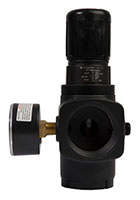 1-1/2 Inch (in) Size Pressure Regulator (01906)