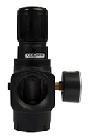 1-1/2 Inch (in) Size Pressure Regulator (01906) - 2