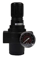 1 Inch (in) Size Pressure Regulator (01904) - 2