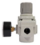 1/2 Inch (in) Size Pressure Regulator (01902) - 3