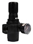 1 Inch (in) Size Pressure Regulator (01904)